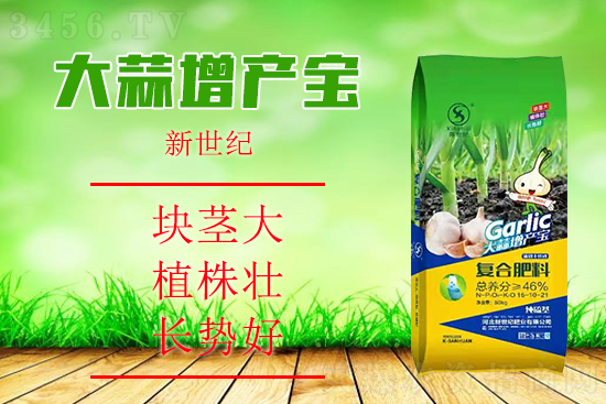 大蒜怎样施肥,施什么肥料好?大蒜增产宝,块茎大、植株壮、长势好! 大蒜怎样施肥,施什么肥料好?大蒜增产宝,块茎大、植株壮、长势好!